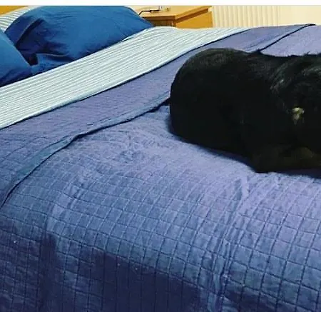 דירה In The Center Of Poprad-free Parking *